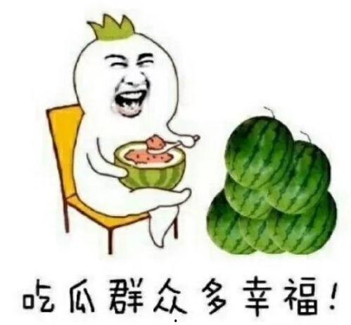吃瓜娱乐圈动画免费观看